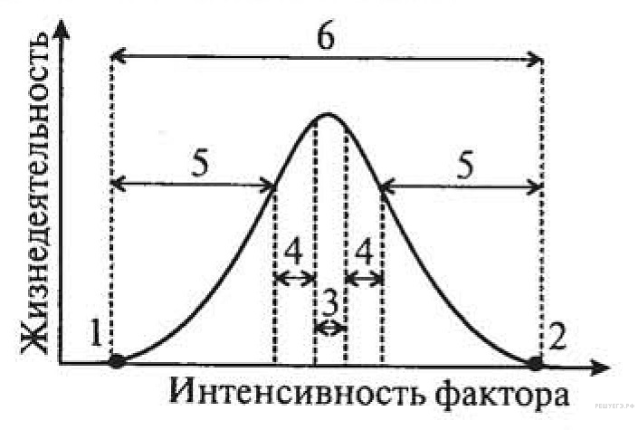 Интенсивность фактора. Диаграмма влияние экологических факторов на организмы. График жизнедеятельности организма. График оптимума. Экологические факторы график.